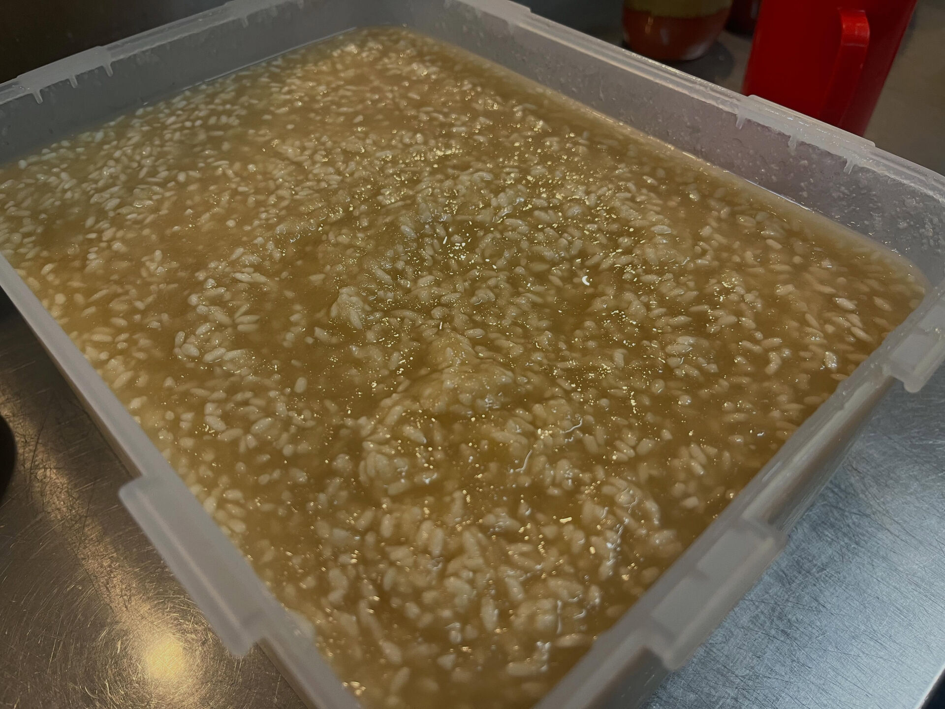 🐽【期間限定玉ねぎ麹】🐽